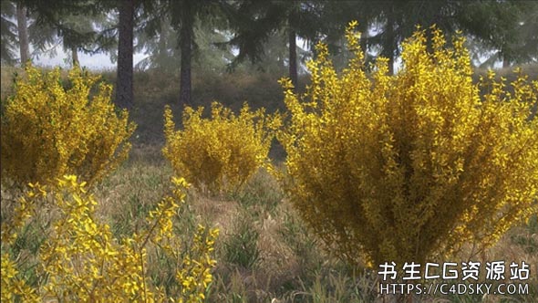 10种三维春夏季连翘灌木模型VIZPARK – Forsythia（max格式）