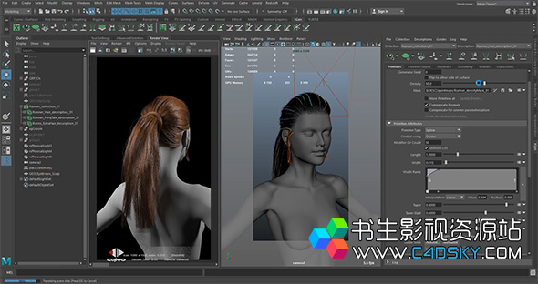 学习使用Maya XGen和Redshift渲染器制作写实逼真的马尾辫教程 免费下载