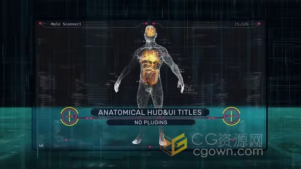 Anatomical HUD UI Titles AE模板科技感人体器官场景大脑肺心脏肝脏肠胃完整身体