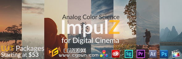 【旗舰版】专业电影胶片LUT调色预设 VisionColor ImpulZ LUTs Ultimate