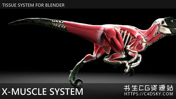 Blender插件-肌肉系统组织物理模拟工具X-Muscle System 3.9.76