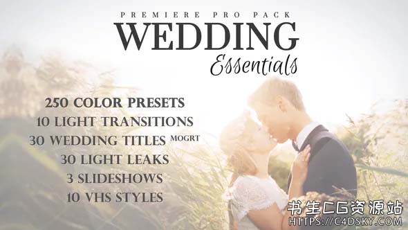 PR模板-250个婚礼色彩校正预设/VHS效果/漏光转场/MOGRT标题素材包Wedding Essentials Pack for Premiere Pro