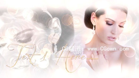 美丽的新娘Videohive Beautiful Bride AE模板