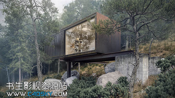 iToo Forest Pack Pro 541 for 3Ds Max 2010-2018 Win森林树木植物插件 版