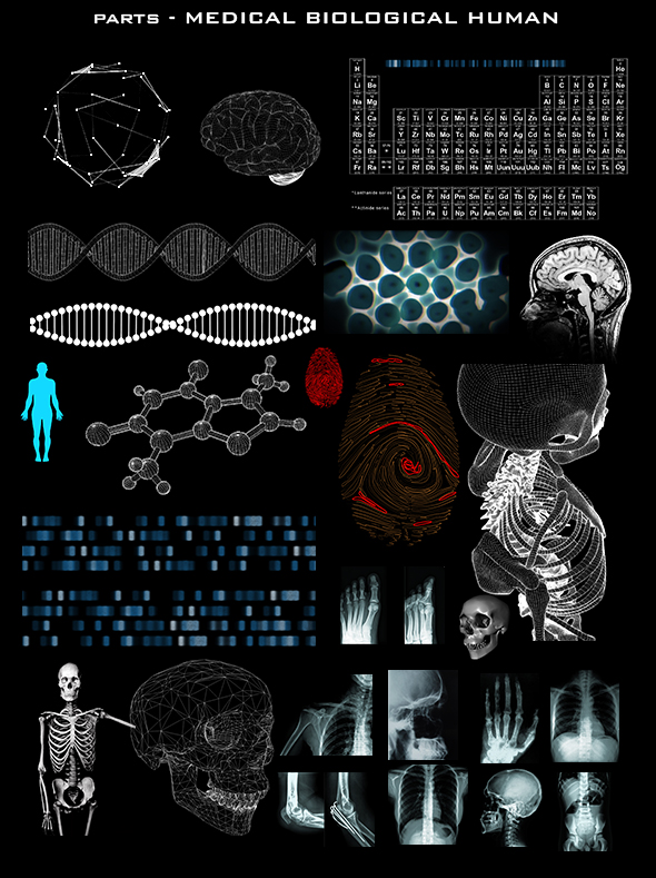 8MEDICAL BIOLOGICAL HUMAN