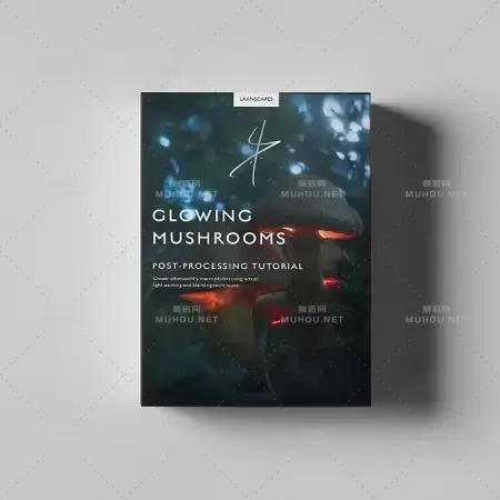 Photoshop发光蘑菇图片合成处理视频教程（英文）Laanscapes – The Magic Mushroom / Glowing Mushrooms Processing (by Daniel Laan)插图