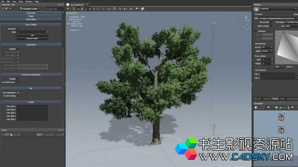 三维树木生长动画软件SpeedTree Modeler 8.3.0 Cinema Edition WIN版