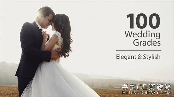 100个现代时尚电影婚礼调色LUTS预设Wedding Color Corrections(AE/PR/FCPX/达芬奇/PS等)