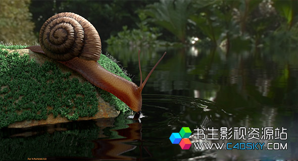 Redshift渲染器快速掌握指南写实蜗牛案例教程C4D Redshift Snail BodyPaint