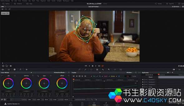 Lynda Learning DaVinci Resolve 14零基础学习达芬奇调色软件视频教程 含英文字幕