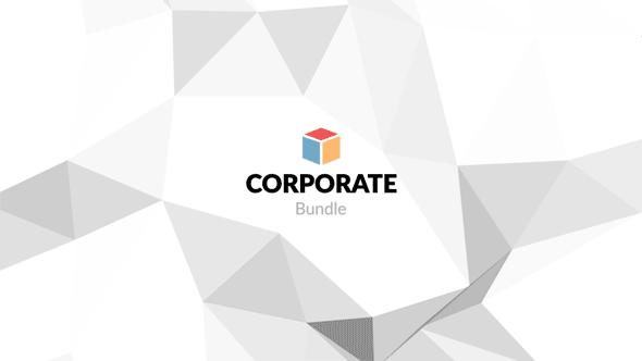 1500种商业商务会议信息数据图表动画AE模板视频素材 Corporate Bundle & Infographics插图6