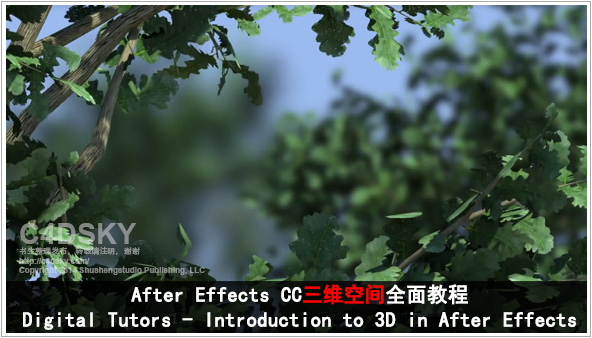 After Effects CC三维空间全面教程Digital Tutors - Introduction to 3D in After Effects CC