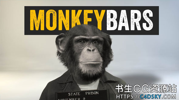 AE脚本-快速生成条形框文字字幕条动画脚本 MonkeyBars V1.06+使用教程