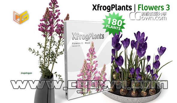 C4D模型 180种植物花朵盆栽 Xfrog Plants – Flowers 3 顶级3D植物库