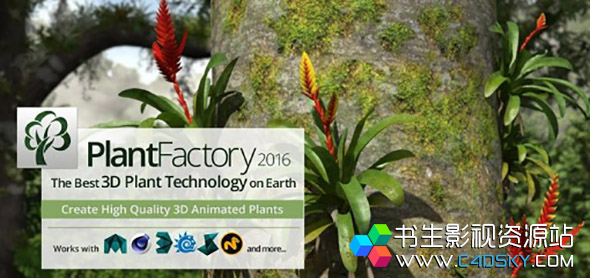 3D植被建模动画渲染软件E-On PlantFactory Producer 2016 R4 Build 404063 版 免费下载