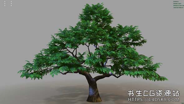 Maya插件-快速生成灌木丛枝干树木动画插件Gumroad – Easy Treez V2.0 for Maya