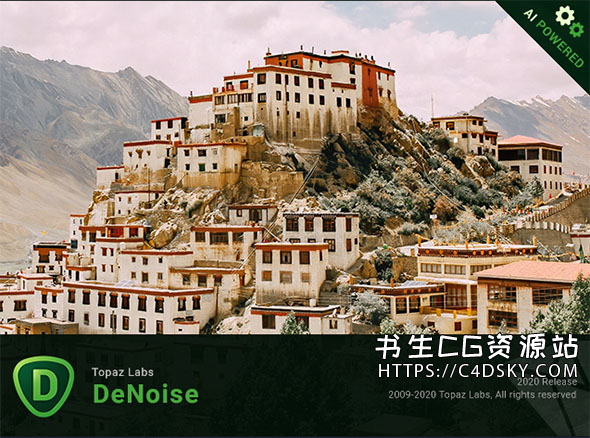 中文汉化版-人工智能图片降噪软件Topaz DeNoise AI v2.3.2 Win完美版