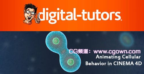 Digital Tutors-C4D细胞运动动画视频教程