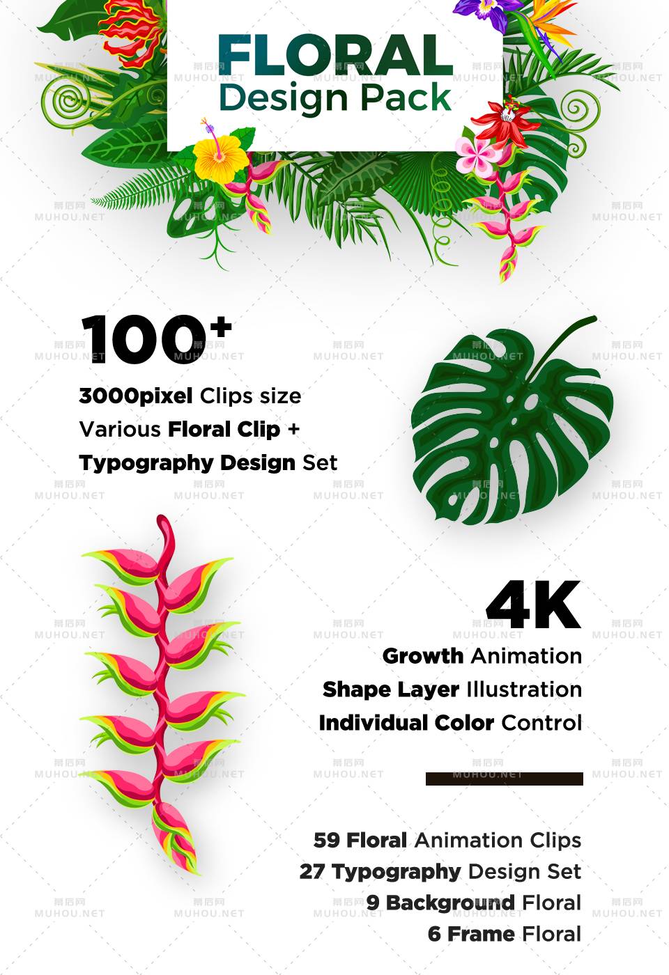 绿色热带植物花艺设计套装视频ae素材插图