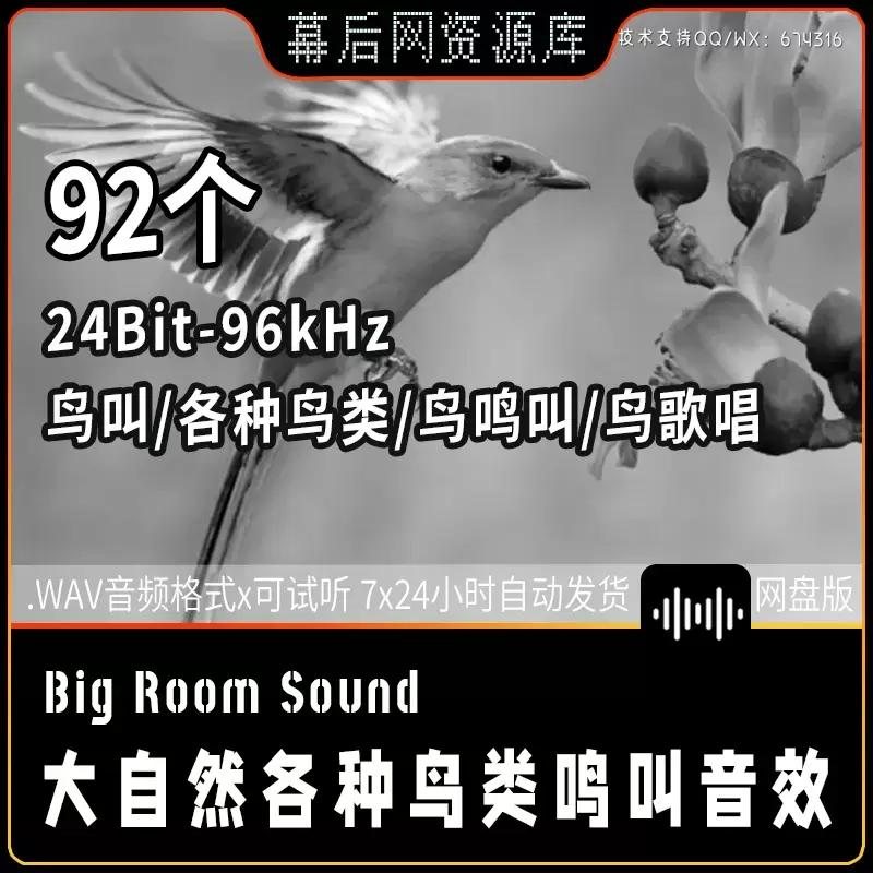 音频-大自然各种鸟类鸣叫唱歌音效Big Room Sound Birds And Nature插图