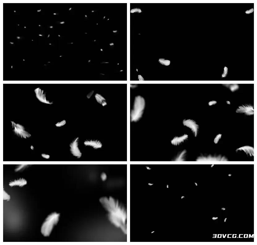 29款空中飘落的羽毛PNG免抠图素材下载插图13