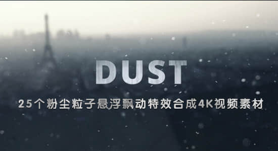 LDDust