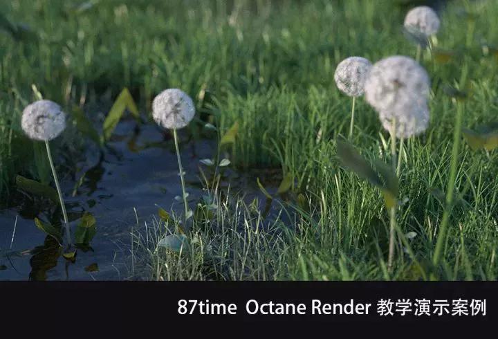 87time  C4D Octane渲染器全面入门讲解教学【悟】Octane Render中文教程 OC教程