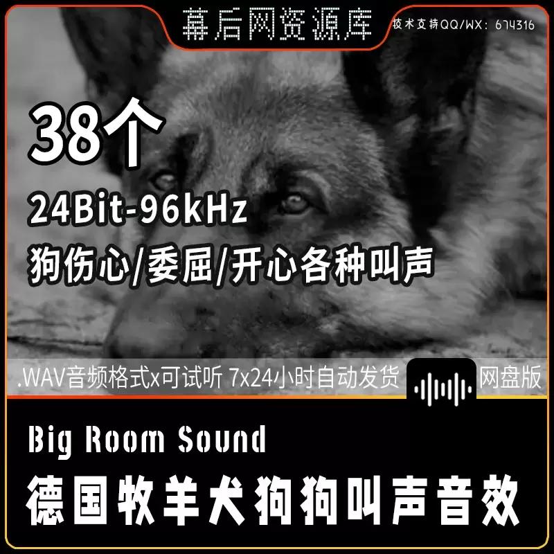 音频-牧羊犬狗狗委屈恳求悲伤的心情的心情的心情情绪叫声呼吸声音效插图