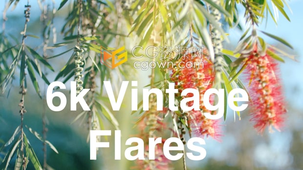 65组复古镜头耀斑光效叠加4K视频素材Vintage Flares