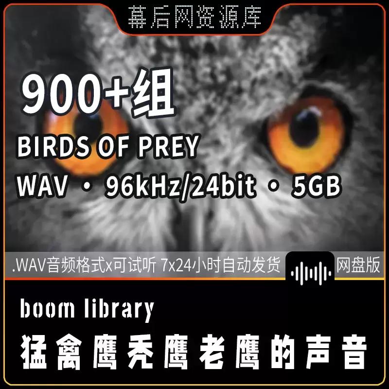 Birds Of Prey鹰乌鸦鹦鹉等大型鸟类猛禽音效插图